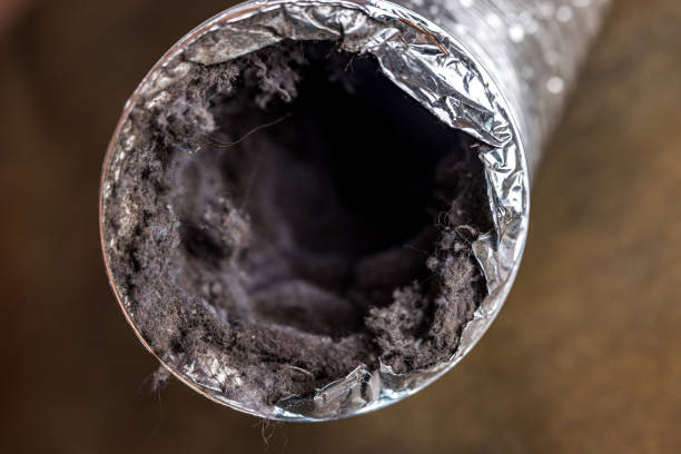 Best Home Air Vent Cleaning  in Fair Oaks, CA
