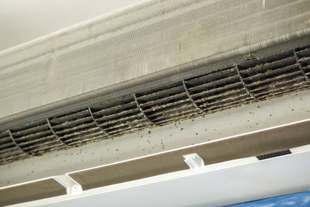Best Air Duct Inspection  in Fair Oaks, CA